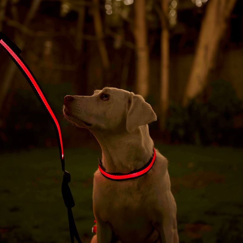 Correa-LED-para-perro-de-125-m-con-luz-intermitente-de-nylon-resistente.