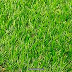 Cesped-artificial-de-750-gramos-x-20-mm-de-grosor-de-fibra-x-2-metros-de-ancho-de-alfombra.-VENTA-POR-METROS-2.