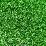 Cesped-artificial-de-300-gramos-x-8-mm-de-grosor-de-fibra-x-1-metro-de-ancho-de-alfombra.-VENTA-POR-METROS-2.