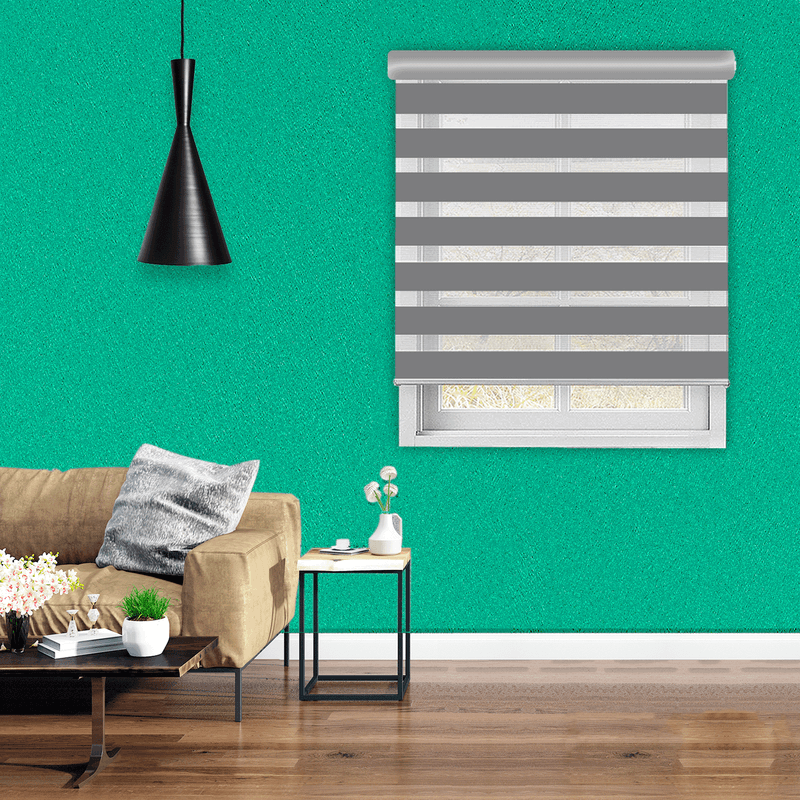 Cortina-Zebra-con-cenefa-de-aluminio-100--inoxidable-de-160x165m.