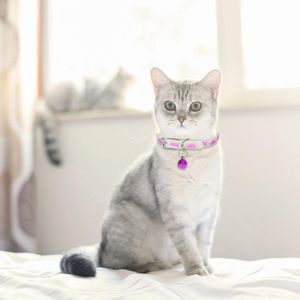 Collar para gato de 29 cm con diseño de ESQUELETO DE PESCADO. - TINYS