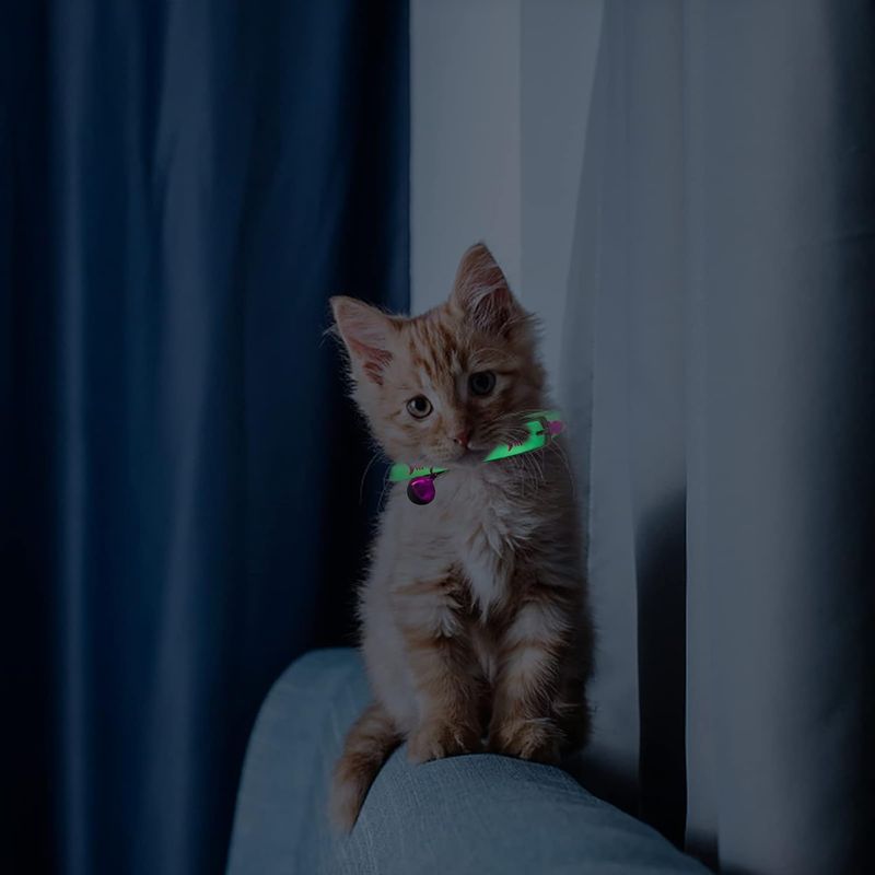 Collar-para-gato-de-29-cm-con-diseño-de-ESQUELETO-DE-PESCADO.