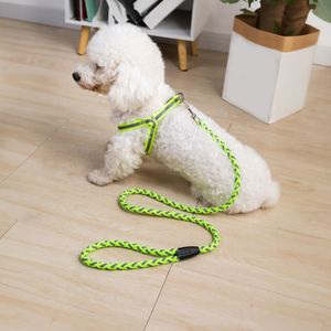 Correa para perro de poliéster de 120 cm de color VERDE NEÓN. - DOGS COLLECTION