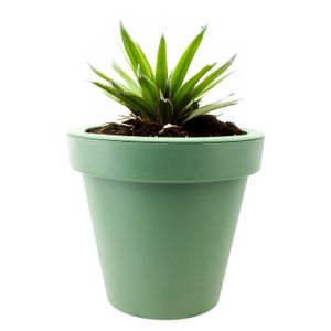 Maceta de 20 cm plástica de polipropileno VERDE OLIVO. - PRO GARDEN