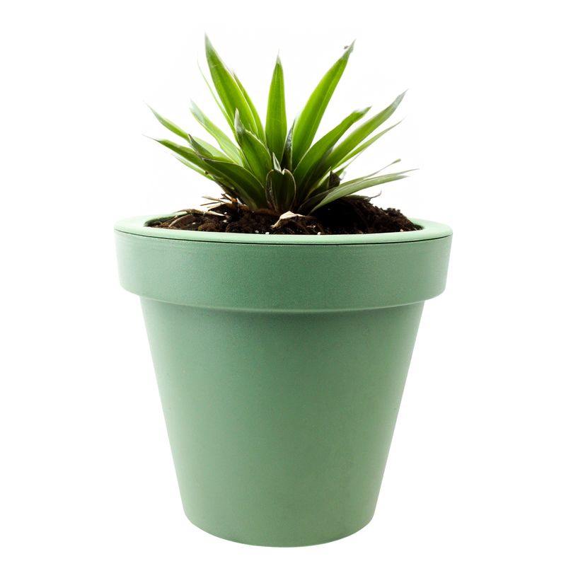 Maceta-de-20-cm-plastica-de-polipropileno-VERDE-OLIVO.
