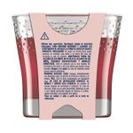 Aromatizante-transparente-tipo-VELA-con-aroma-MANZANA-Y-CANELA--96-g.