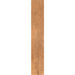 Porcelanato-tavol-cipres-de-20-x-120-cm