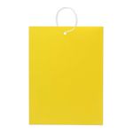 Placas-Adhesivas-para-insectos-color-amarillo-muy-resistentes-de-25-x-10-cm.