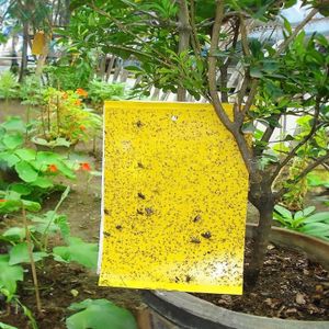 Placas Adhesivas para insectos color amarillo muy resistentes de 25 x 10 cm. - LA MACETA