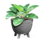 Maceta-color-gris-de-polipropileno-con-textura-surcado-de-195-x-235-cm.