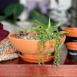 Maceta-de-32-cm-de-diametro-tipo-BOWL-rustica-terracota.
