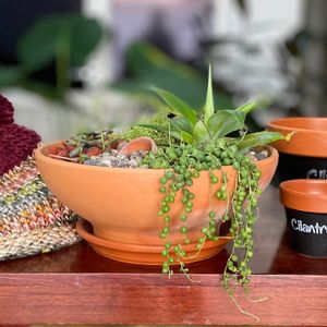 Maceta de 32 cm de diámetro tipo BOWL rustica, terracota. - MESTIZA