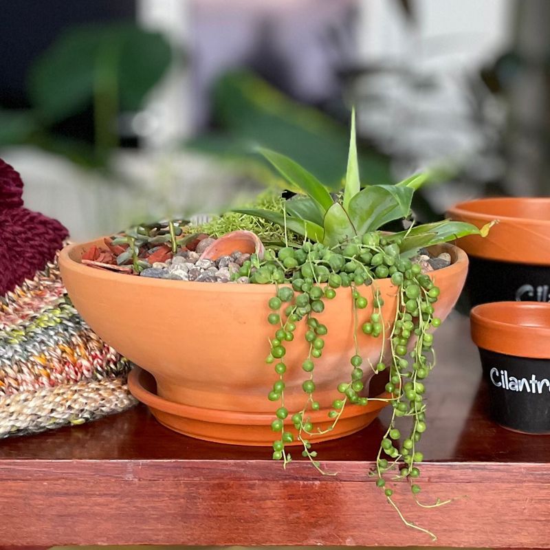 Maceta-de-32-cm-de-diametro-tipo-BOWL-rustica-terracota.
