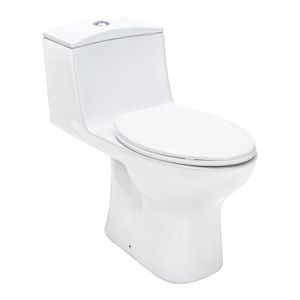 Inodoro Toscana One piece trampa tapada dual flush 4,8/3,5 LPF. - BRIGGS