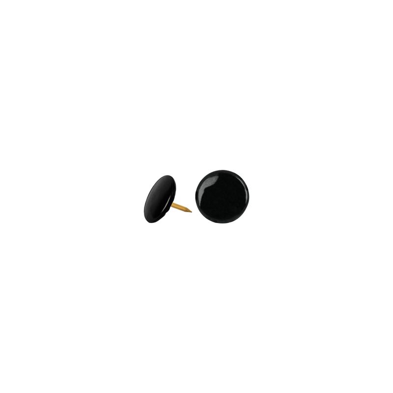 Caja-de-tachuelas-negras-de-85-mm-x-10-mm.