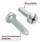 Blister-con-10-tornillos-autorroscables--10-de-largo-de-1--de-rosca-completa.