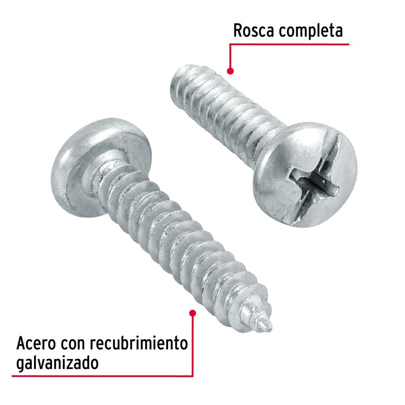 Blister-con-10-tornillos-autorroscables--10-de-largo-de-1--de-rosca-completa.