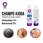 Shampoo-con-Clorhexida-y-Ketoconazol-tratamiento-hongos-y-bacterias