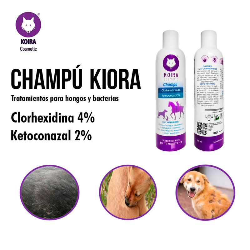 Shampoo-con-Clorhexida-y-Ketoconazol-tratamiento-hongos-y-bacterias