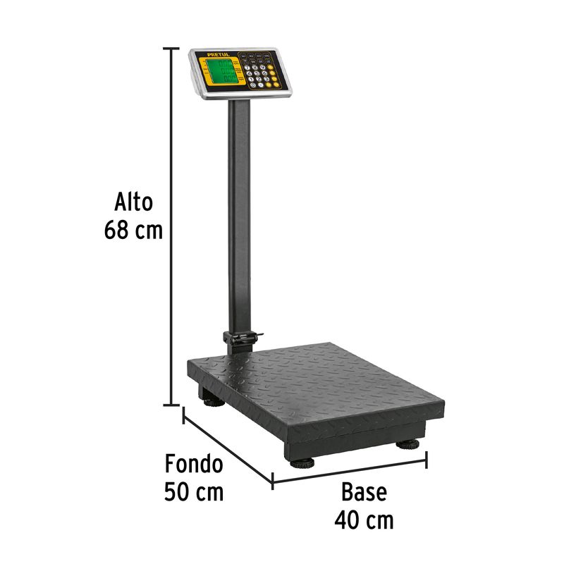 Bascula-de-plataforma-plegable-de-200kg