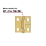 Bolsa-con-dos-bisagras-rectangulares-de-1--x-7-8--de-acero-latonado