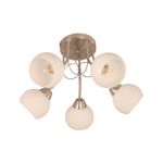 Lampara-D-Techo-Satin-Niquel-Esf-5L60We27