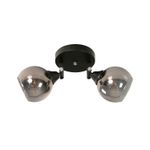 Lampara-Techo-Negro-2L