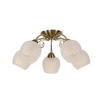 Lampara-De-Techo-Curva-Brc-Ant-5Le27-40W