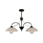 Lampara-De-Techo-E27-2-L-60W-Black