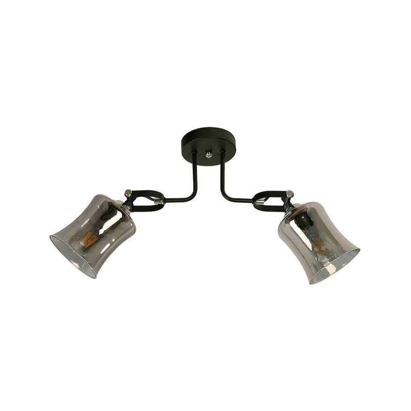 Lampara-De-Techo-E27-2-L-60W-Ng-Crm