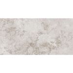Az-P-Magnisi-Silver-30X60-Cj1.80-Mt