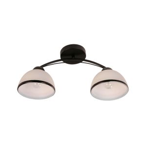 Lampara D/Techo Acab Negro 2L 40W E27 - LUMICENTRO