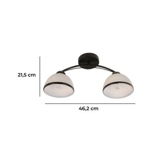 Lampara D/Techo Acab Negro 2L 40W E27 - LUMICENTRO
