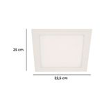 616555-2.jpg