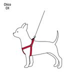 Arnes-pechera-con-correa-de-110cm-para-perros-de-razas-pequeñas