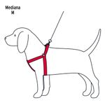 Arnes-pechera-con-correa-de-120cm-para-perros-de-razas-medianas