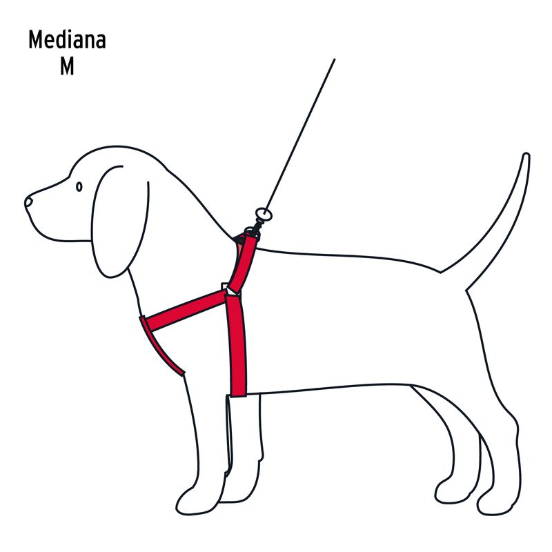 Arnes-pechera-con-correa-de-120cm-para-perros-de-razas-medianas