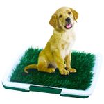 Almohadilla-sanitaria-canina-de-46-x-34-cm.