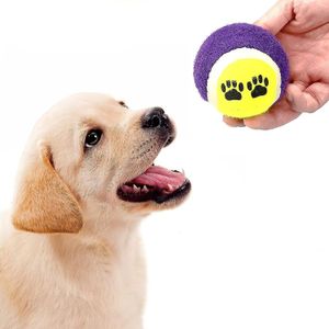 Juguete para perros set de 5 pelotas de tenis. - DUKES