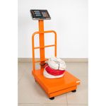 Balanza-de-plataforma-plegable-con-torreta-y-200kg-de-capacidad