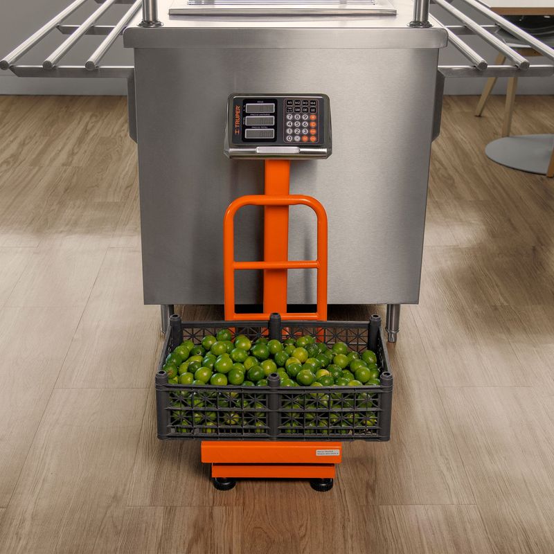 Balanza-de-plataforma-plegable-con-torreta-y-100kg-de-capacidad