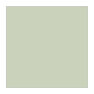 Pintura látex SUPREMO Verde Olivo con tecnología Bioshield 99 % antibacterial 1gl. - PINTURAS UNIDAS