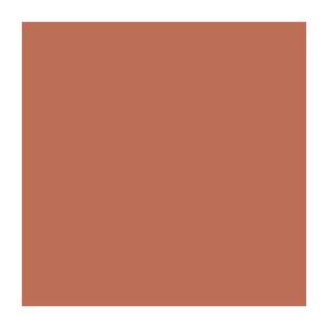 Pintura látex SUPREMO Terracota con tecnología Bioshield 99 % antibacterial 1gl. - PINTURAS UNIDAS