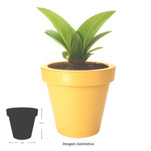 Maceta de 20 cm plástica de polipropileno. - PRO GARDEN