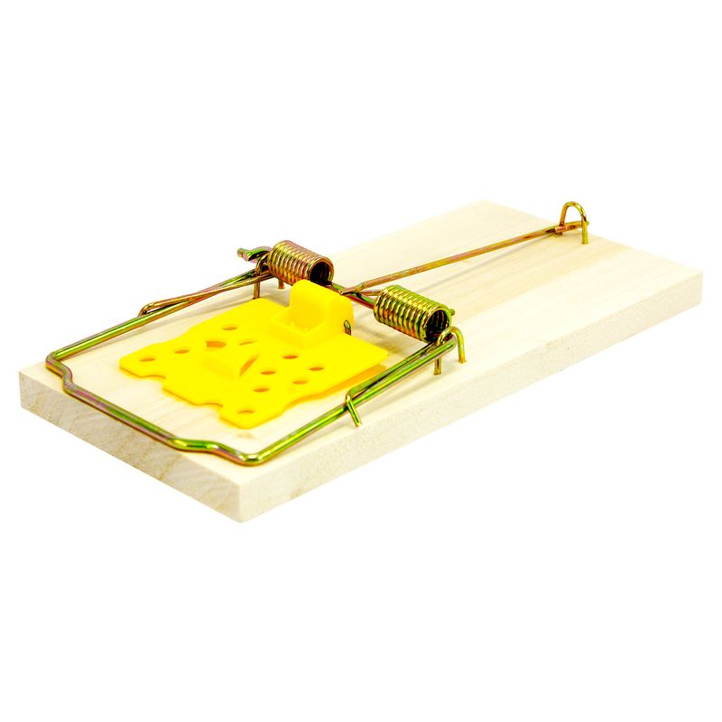 451035-3.jpg