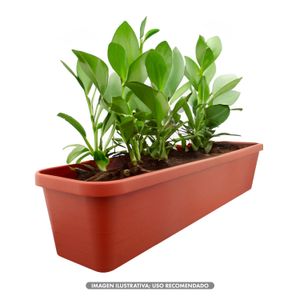 Macetero MAGNOLIA rectangular de 18 lts color terracota. - CASA PICA