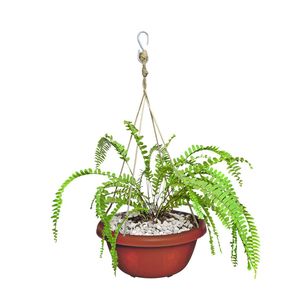 Macetero TULIPAN colgante redondo resistente hasta 4 kg de peso color terracota. - CASA PICA