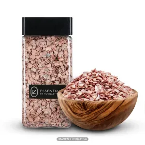 Piedra Decorativa 550Ml Shell - ESSENTIALS