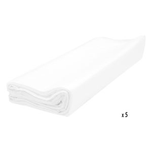 Plástico protector extra fuerte transparente de 275 x 365 cm para pintura en set de 5 unidades - FROST KING