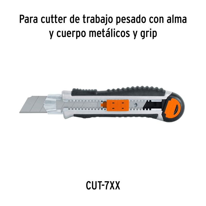235677-4.jpg
